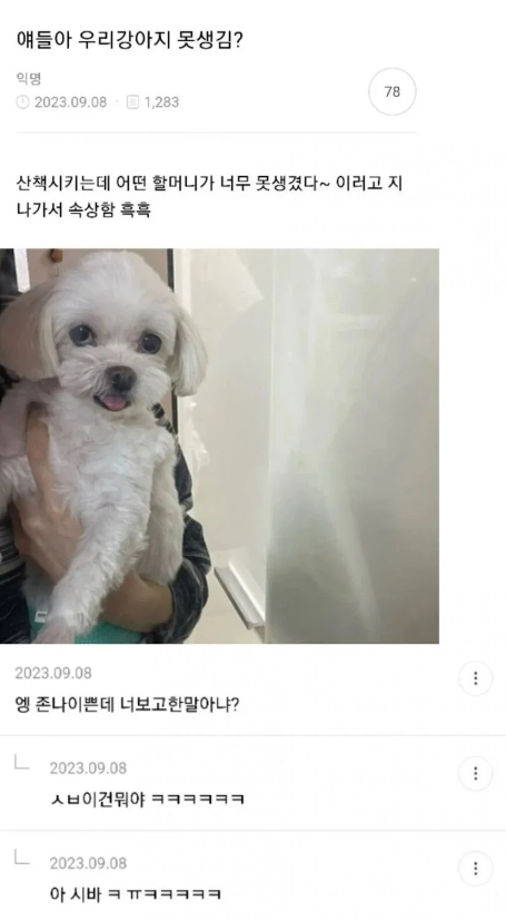 얘들아 우리강아지 못생김?