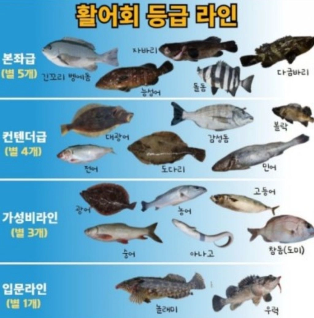 활어회 등급 단계