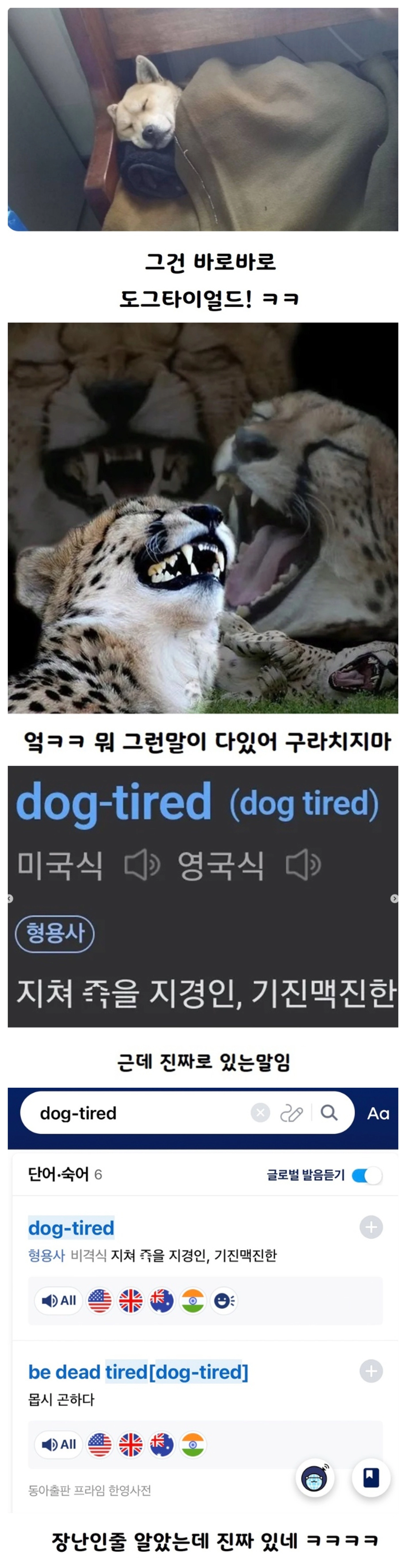 님들 '개피곤하다'가 영어로 뭔지 앎?