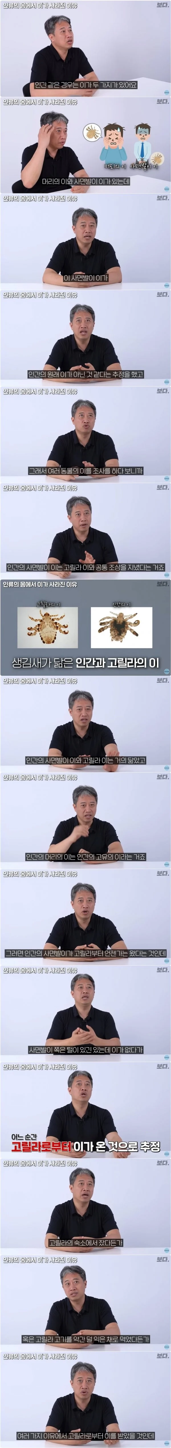 인간에게 사면발이가 생긴 이유