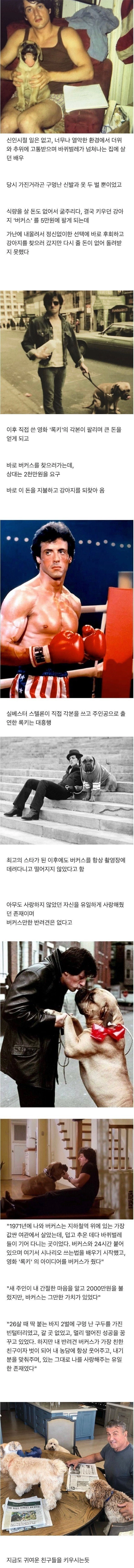 돈없어서 댕댕이 5만원에 판 배우.....