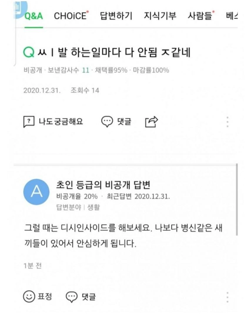 디시를 하는 이유