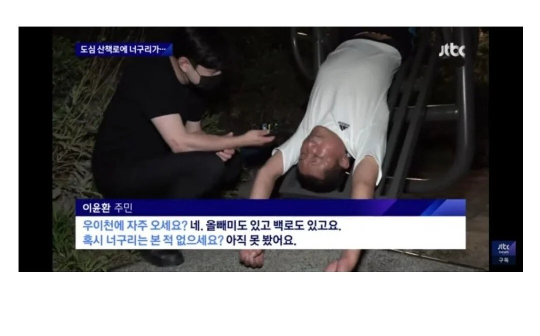 너구리 개체수 증가로 억울한 고양이의 죽음.jpg