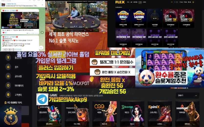 ❤️플러스 카지노 ❤️✅바카라.슬롯.홀덤.파워볼✅가입후 연락 필수!✅바카라.슬롯.홀덤✅