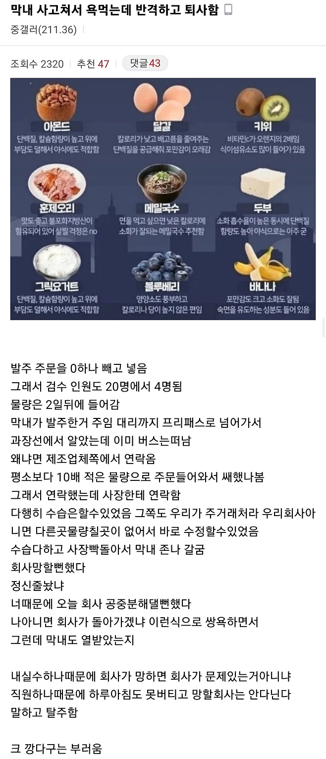 신입 때문에 회사 망할뻔함